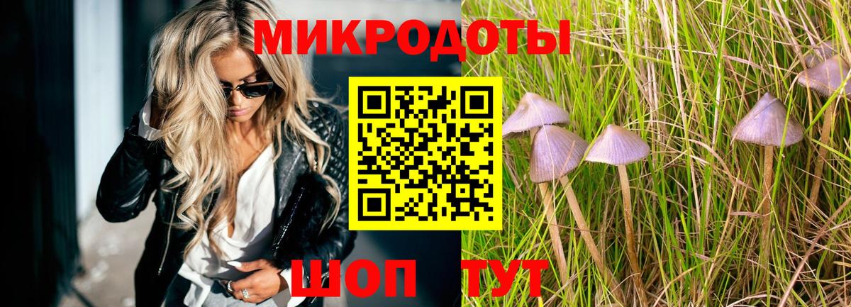 Галлюциногенные грибы прущие грибы Россошь